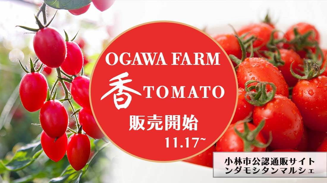 OGAWA FARM 香TOMATO販売開始