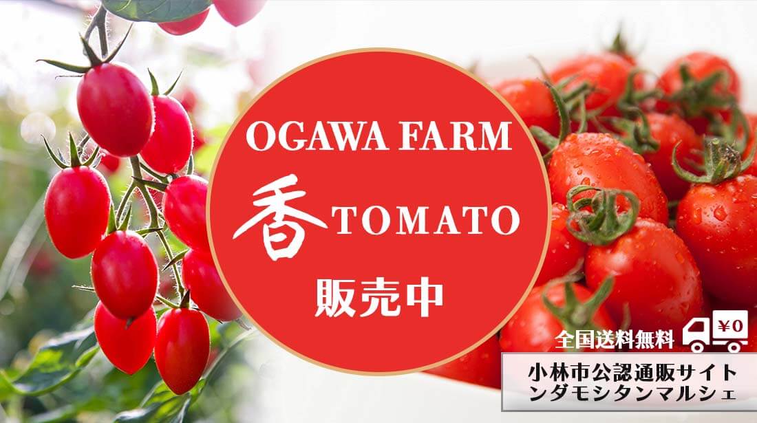 OGAWA FARM 香TOMATO販売開始