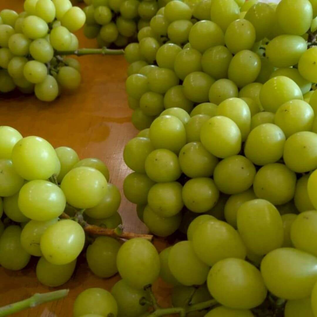 ウインク
